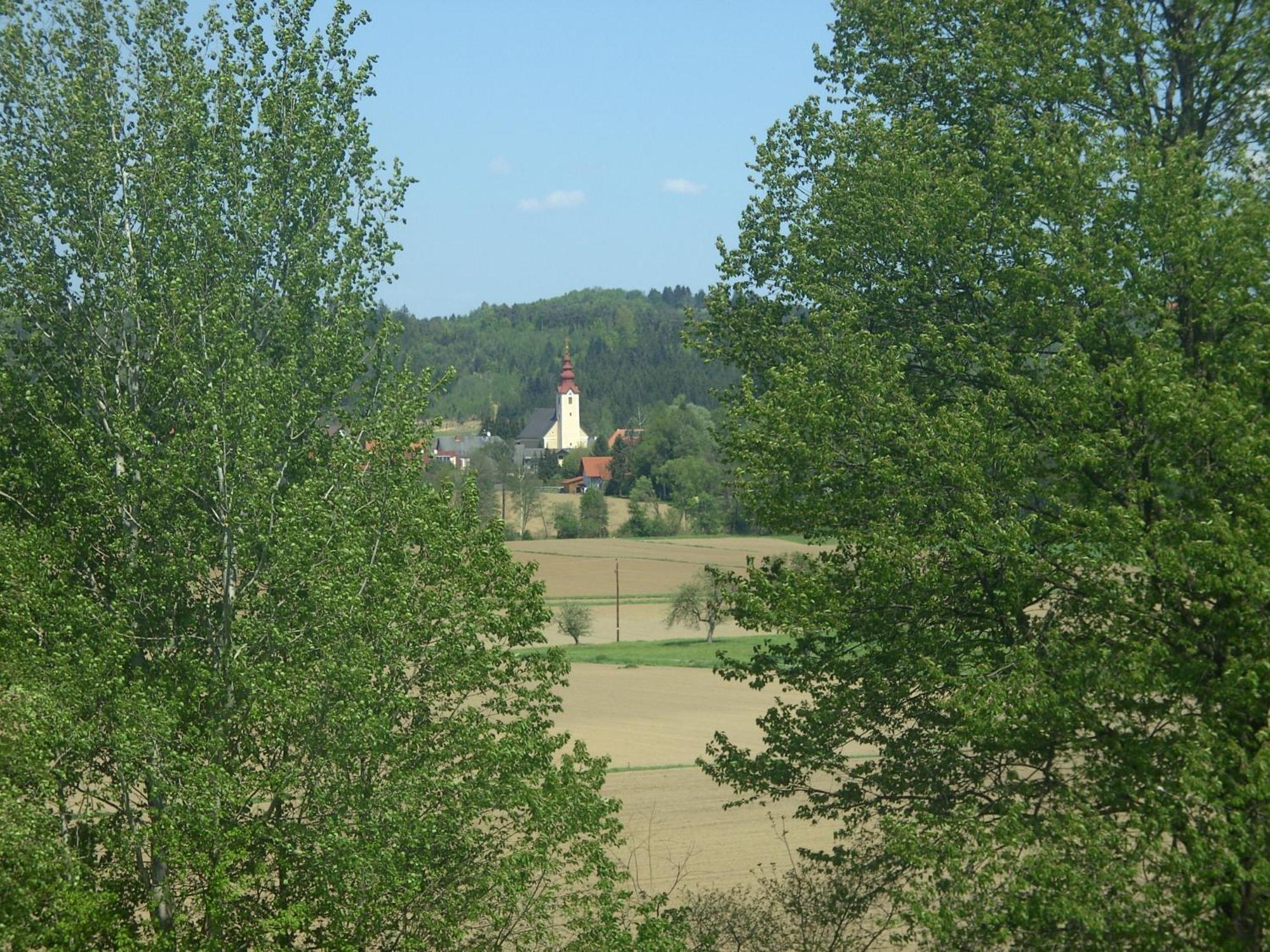 Gasthof Martinhof Hotel Sankt Martin im Sulmtal Екстериор снимка