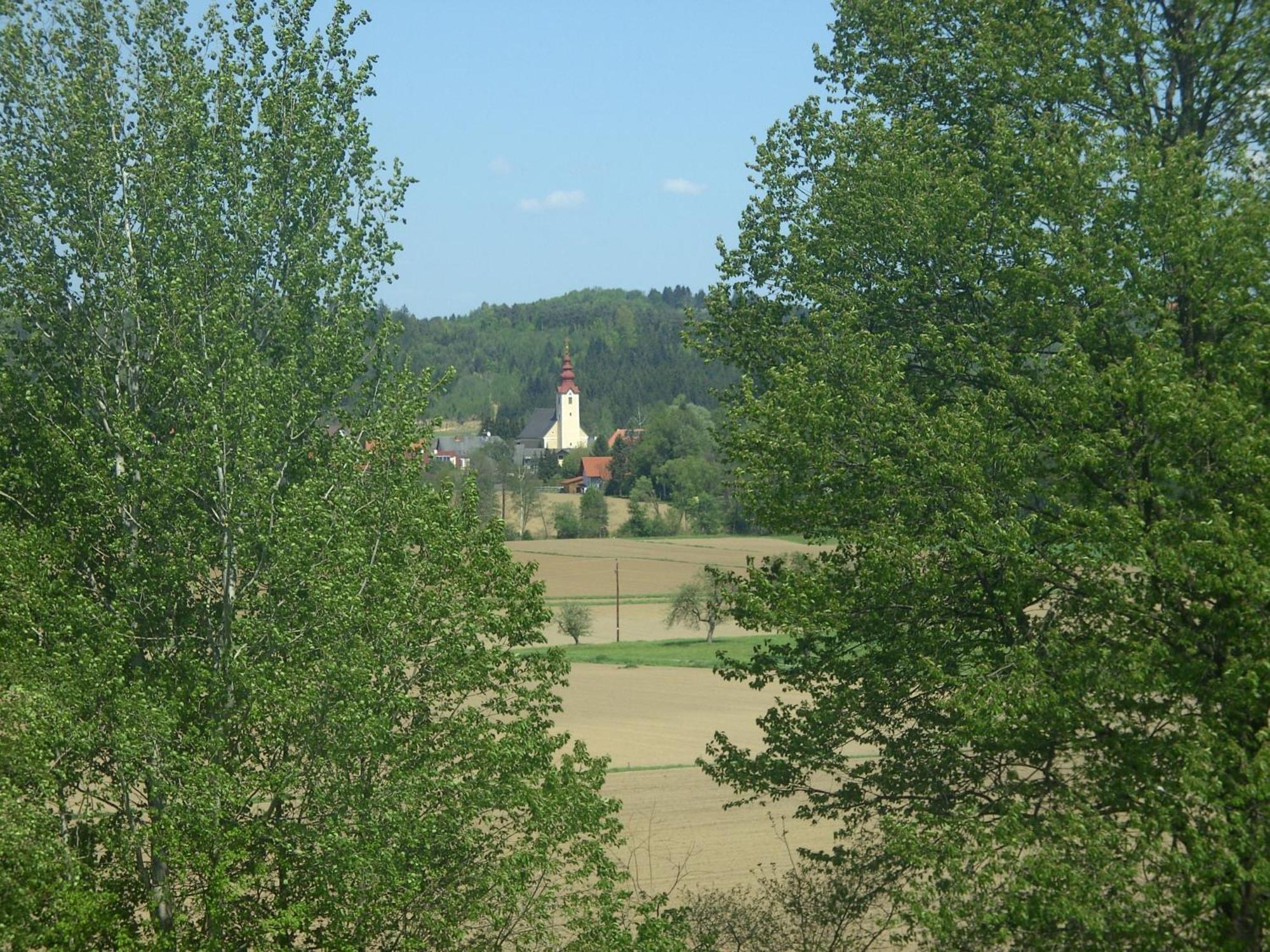 Gasthof Martinhof Sankt Martin im Sulmtal Екстериор снимка